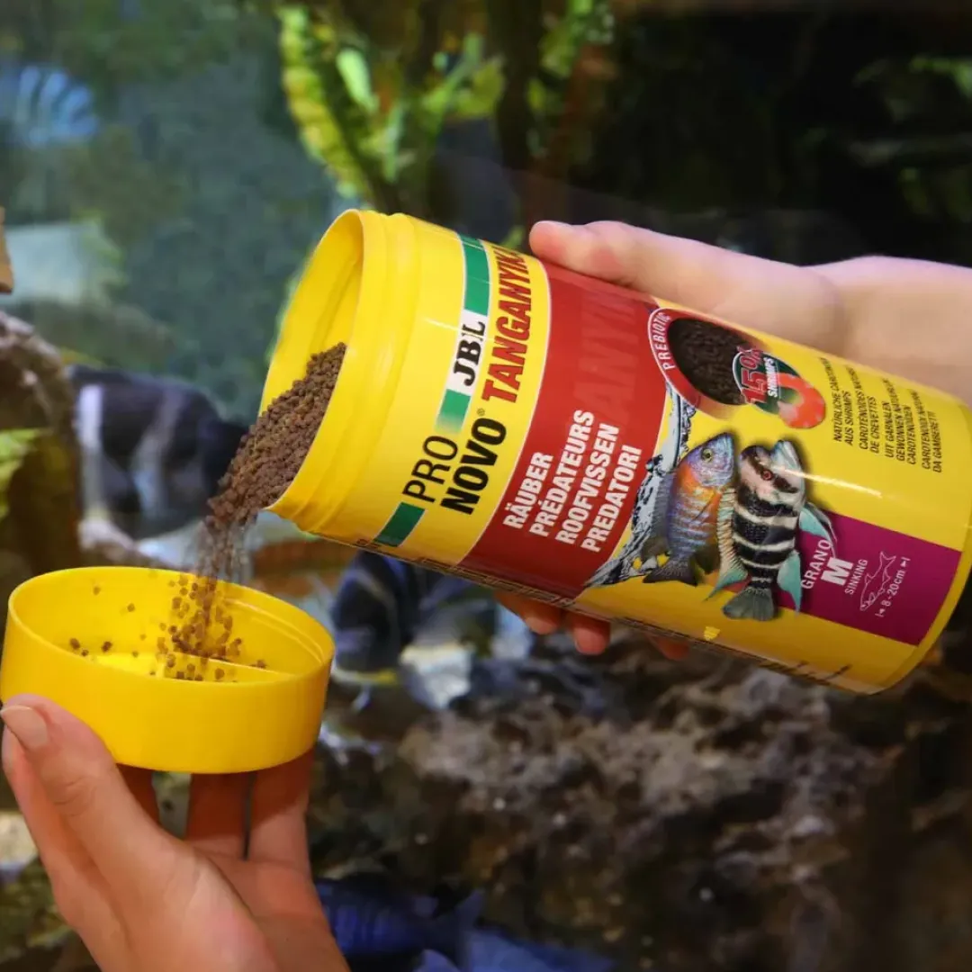 Sale ProNovo Tanganyika Grano M fiskefoder 1 liter Fiskefoder Til Ferskvandsfisk