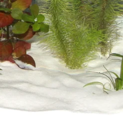 Clearance Sansibar Snow 5 kg Akvariegrus Aquascaping