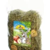Best JR Æbleeng 500 g Foder & Snack Til Gnavere & Kanin