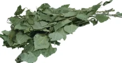 JR Et stykke natur Tørrede Birkegrene 40 g Foder & Snack Til Gnavere & Kanin