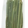Online Dild Stick 15 g Foder & Snack Til Gnavere & Kanin