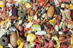 Sale Egern foder 600 g Vildfuglefoder & Hønseudstyr|Foder & Snack Til Gnavere & Kanin