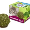 Sale Kat Catnip Bold Kattelegetøj