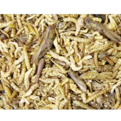 Clearance Protein Cocktail Dåse 75 g Foder & Snack Til Gnavere & Kanin