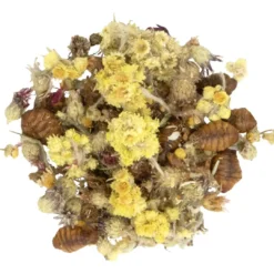 Outlet Tiny Treats Silkeorm Mix 100g Foder & Snack Til Gnavere & Kanin