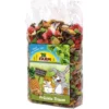 Best JR Frugtdrøm 200 g Foder & Snack Til Gnavere & Kanin