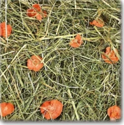 New JR Gulerodseng 500 g Foder & Snack Til Gnavere & Kanin
