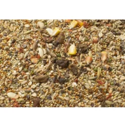 Discount JR Hamster Fuldfoder 600 g (smovs) Foder & Snack Til Gnavere & Kanin