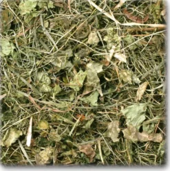 Clearance JR Marietidseleng til Chinchilla 500 g Foder & Snack Til Gnavere & Kanin