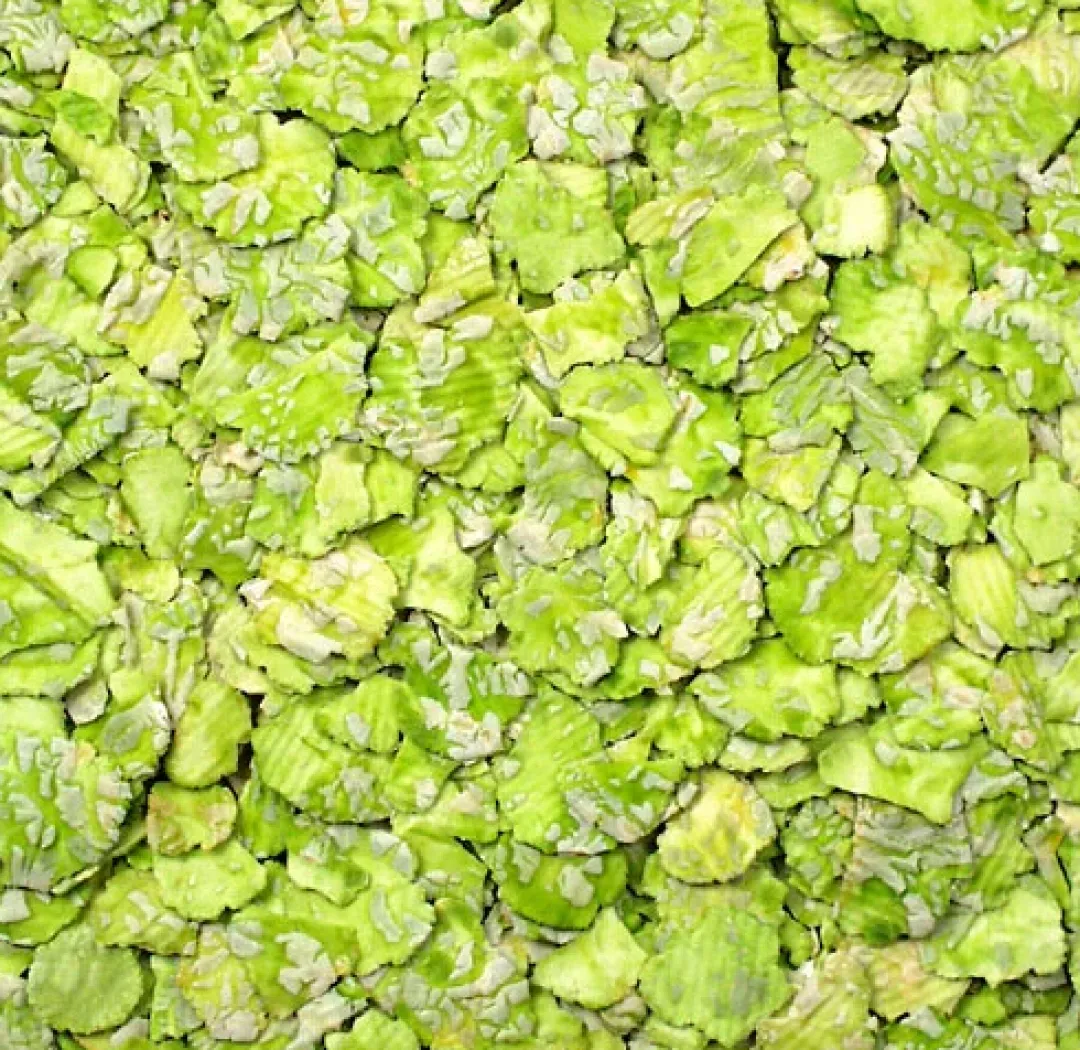 Online JR Ærteflager 1 kg Foder & Snack Til Gnavere & Kanin