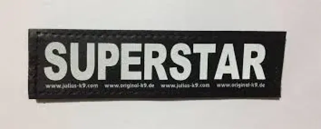 Outlet hundeskilt SUPERSTAR stor Hundeseler Til Alle Behov Og Hundestørrelser