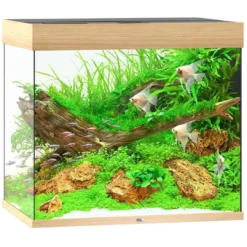 Online Led Lido 200 Liter Eg 70x51x65 cm Akvarier