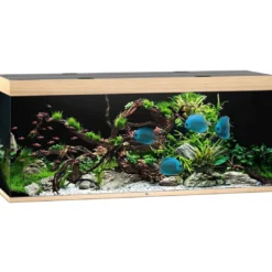 Discount Led Rio 450 Eg 151x51x66 cm 450 L Akvarier