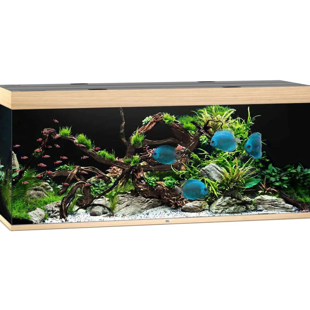 Discount Led Rio 450 Eg 151x51x66 cm 450 L Akvarier