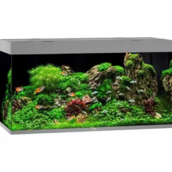 New Led Rio 350 Grå 121x51x66 cm 350 L Akvarier