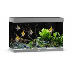 Clearance Led Rio 290 Liter Grå Akvarier