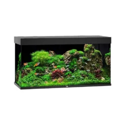 Clearance Led Rio 350 Sort 121x51x66 cm 350 L Akvarier