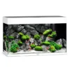 Discount Rio 125 Hvid Akvarier