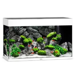 Discount Rio 125 Hvid Akvarier