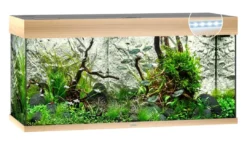 Hot Rio 180 L Eg 101x41x50 cm Akvarier
