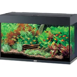 Best Rio 125 Sort Akvarier