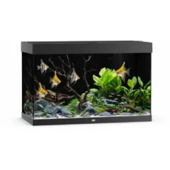Online Juwel Aquarium LED Rio 290 Liter Sort Akvarier