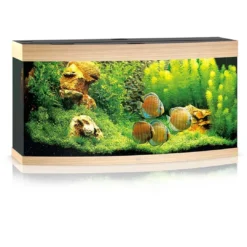 Hot Juwel Aquarium VISION 260 Eg Akvarier