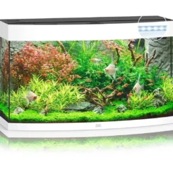 Outlet Juwel Aquarium VISION 180 Hvid Akvarier