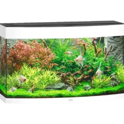 Outlet Juwel Aquarium VISION 180 Hvid Akvarier