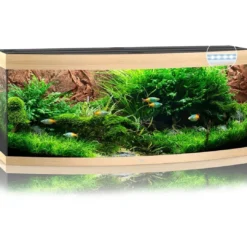 Best Juwel Aquarium VISION 450 LED Eg Akvarier