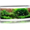 Clearance Juwel Aquarium VISION 450 LED Hvid Akvarier