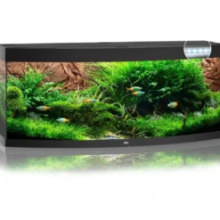 Best Juwel Aquarium VISION 450 LED Sort Akvarier