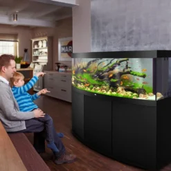 Best Juwel Aquarium VISION 450 LED Sort Akvarier