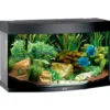Online Juwel Aquarium VISION 180 Sort Akvarier