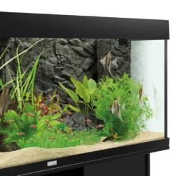 Sale Juwel Filterbaggrund Stone granit 55,5 x 18,6 cm Akvariebaggrunde