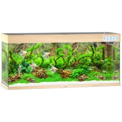 Discount Juwel Rio 240 L Eg 121x41x55 cm Akvarier
