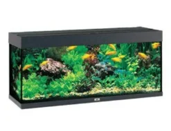 Online Juwel Rio 240 L Sort 121x41x55 cm Akvarier