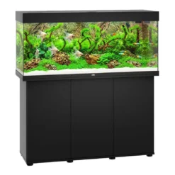 Online Juwel Rio 240 L Sort 121x41x55 cm Akvarier