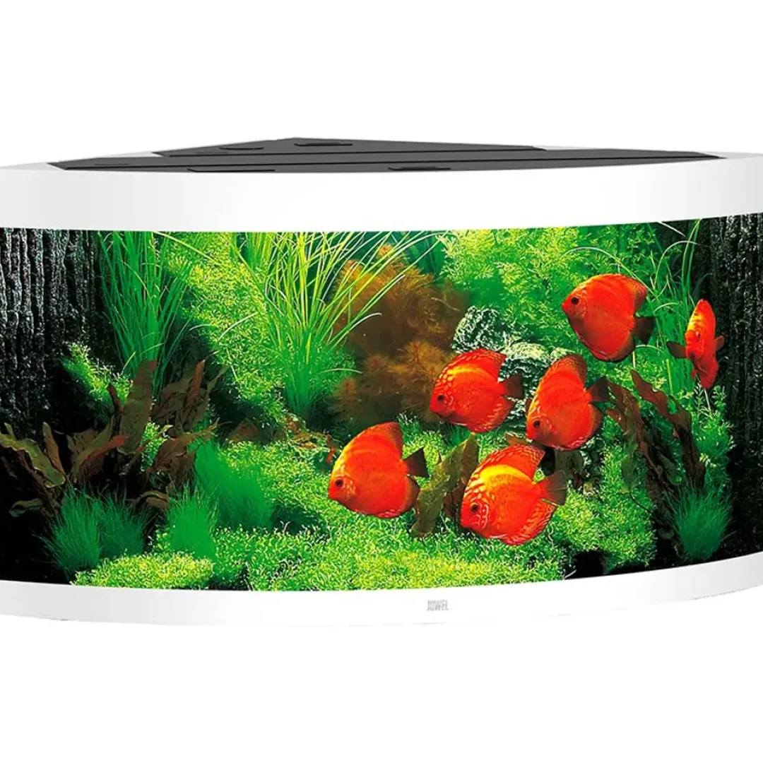 Clearance Juwel Trigon 350 Hvidt Akvarium Akvarier