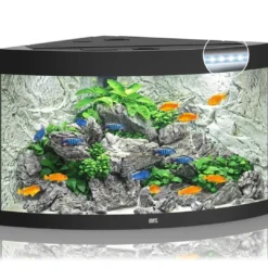 Sale Juwel Trigon 190 LED Sort Aquarium Akvarier