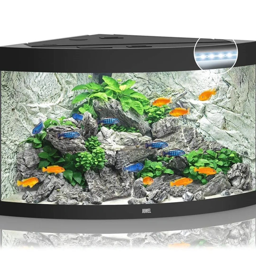 Sale Juwel Trigon 190 LED Sort Aquarium Akvarier