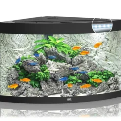 Best Juwel Trigon 350 Sort Akvarium Akvarier