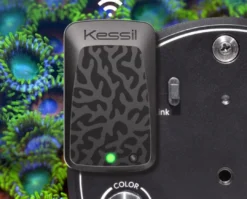 Kessil WiFi Dongle EU version Lamper Til Saltvandsakvarier