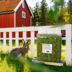 Sale 1,5 kg Urtehø Hø - Rig på mineraler Foder & Snack Til Gnavere & Kanin