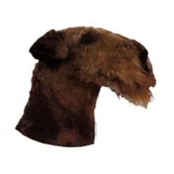 Best Klistermærke af Airedale Terrier Hoved Stor Hundetegn Til Hvalpe - Sikkerhed Og Tryghed Hvis Hvalpen Løber Væk|Hundetegn Og Smykker Med Stil Og Sikkerhed