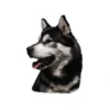 Sale Klistermærke af Alaskan Malamute Hoved Stor Hundetegn Til Hvalpe - Sikkerhed Og Tryghed Hvis Hvalpen Løber Væk|Hundetegn Og Smykker Med Stil Og Sikkerhed