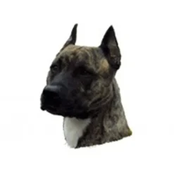 Best Klistermærke af Amerikansk Staffordshire Terrier Hvalp Hoved Mini Hundetegn Til Hvalpe - Sikkerhed Og Tryghed Hvis Hvalpen Løber Væk|Hundetegn Og Smykker Med Stil Og Sikkerhed