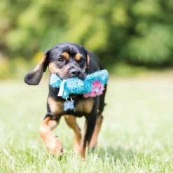 Best Cozie Marvin Moose Jumbo XL - kæmpe bamse til store hunde Hundelegetøj Til Alle Hunde Leg Og Aktivering Året Rundt|Legetøj Til Hvalpe - Sjov Leg, Aktivering Og Tryghed Fra Første Dag