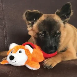 Online Cozie Pocketz Fox M - sjov rævebamse til hunde Hundelegetøj Til Alle Hunde Leg Og Aktivering Året Rundt|Legetøj Til Hvalpe - Sjov Leg, Aktivering Og Tryghed Fra Første Dag