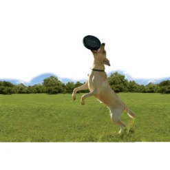 Online Extreme Frisbee sort - ekstra slidstærk frisbee i naturgummi Hundelegetøj Til Alle Hunde Leg Og Aktivering Året Rundt|Legetøj Til Hvalpe - Sjov Leg, Aktivering Og Tryghed Fra Første Dag